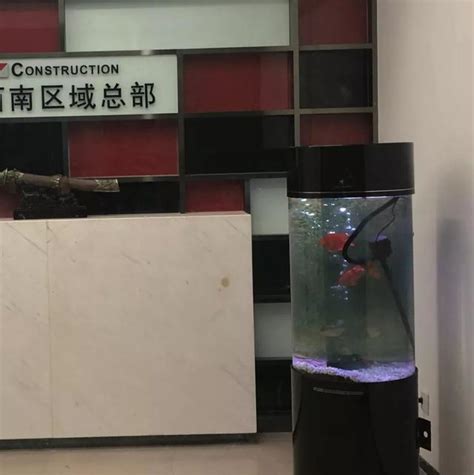 門口養魚